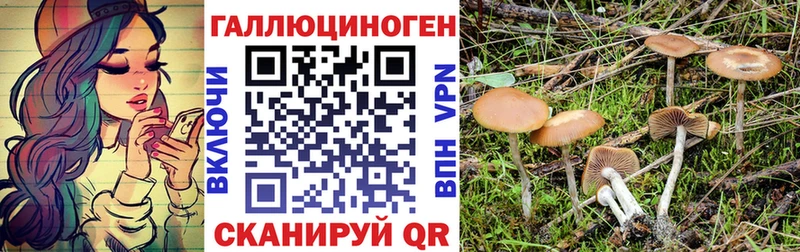 Галлюциногенные грибы GOLDEN TEACHER  Купить  Азов 